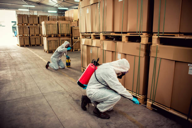 Best Mosquito Control Services  in Runge, TX