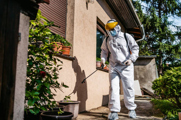 Best Flea Control Services  in Runge, TX
