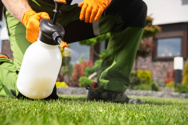 Best Wildlife Control Services  in Runge, TX