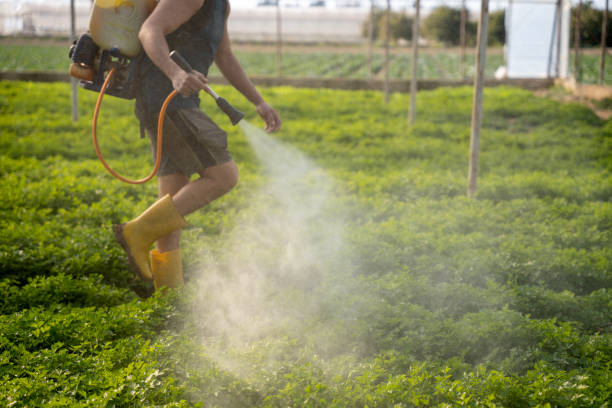Pest Control for Restaurants in Runge, TX