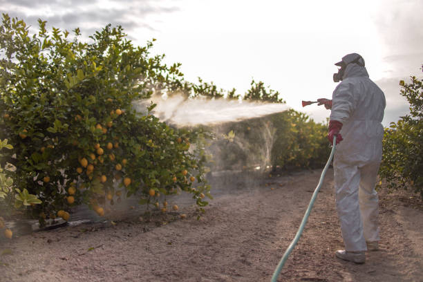 Best Exterminator Services  in Runge, TX