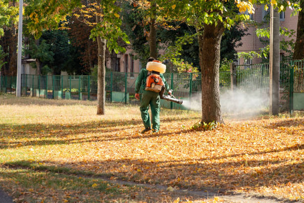 Best Rodent Control Near Me  in Runge, TX
