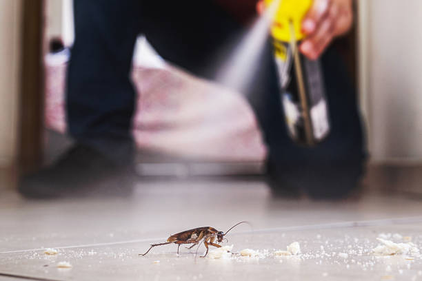 Best Best Pest Control Companies  in Runge, TX