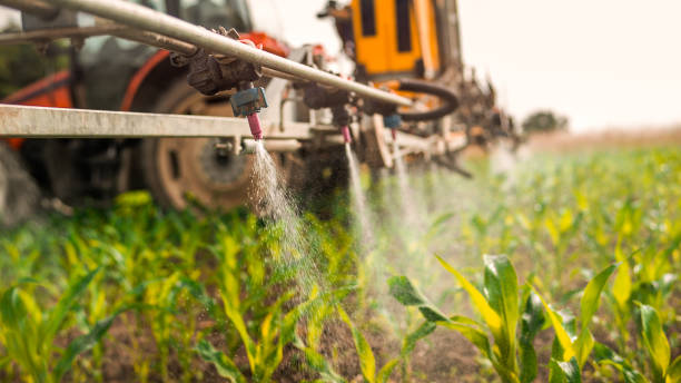 Best Wildlife Control Services  in Runge, TX