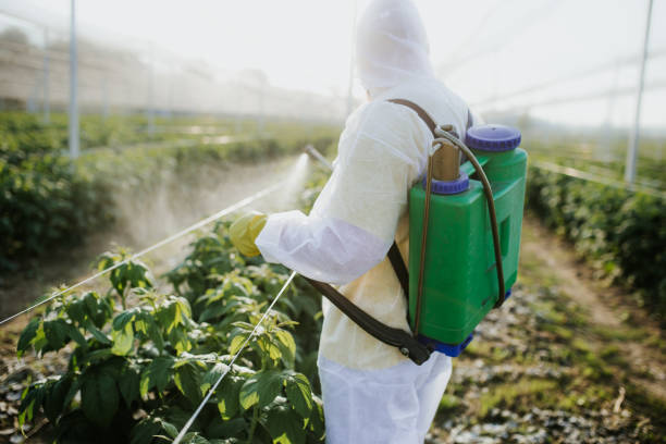 Best Best Pest Control Companies  in Runge, TX